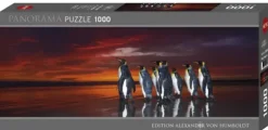 Wim van den Heever - King Penguins