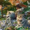 Wolves in the Spring