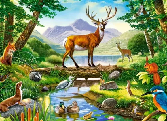 Woodland Harmony