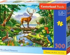 Woodland Harmony