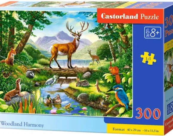 Woodland Harmony